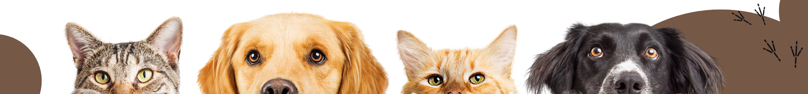 Inzerce zvířat zdarma - OnlineFauna.cz